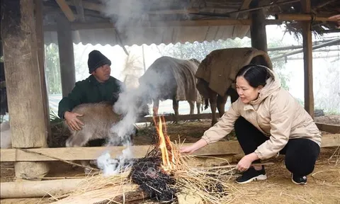 Dự báo thời tiết 11/3/2026: Những nơi nào rét tới 11 độ?