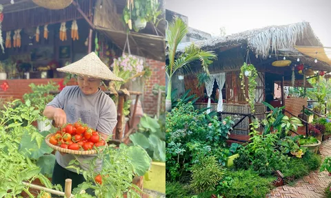 "Bỏ phố về quê", chàng trai 9X Vĩnh Long chi 100 triệu làm nhà vườn 600m2 đẹp mê trồng đủ thứ rau củ, có cả ao cá