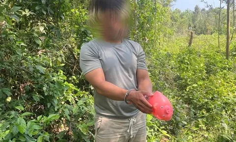 “Chiêu lạ” của nghi phạm gây 7 vụ trộm trong 3 tuần: Trời nắng vẫn mặc áo mưa, cắt camera rồi đột nhập