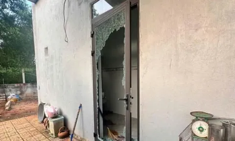 Bắt Nguyễn Tấn Dũng, quê Quảng Ngãi