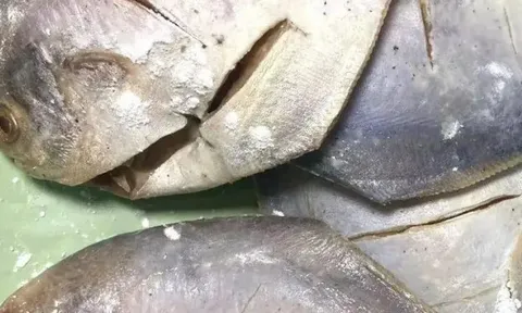 Đừng tiếc tiền nếu gặp 5 loại cá này ở chợ: Hoàn toàn tự nhiên, bổ dưỡng cực kỳ