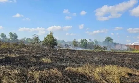 Chồng bàng hoàng phát hiện vợ tử vong giữa cánh đồng, nguyên nhân đau lòng