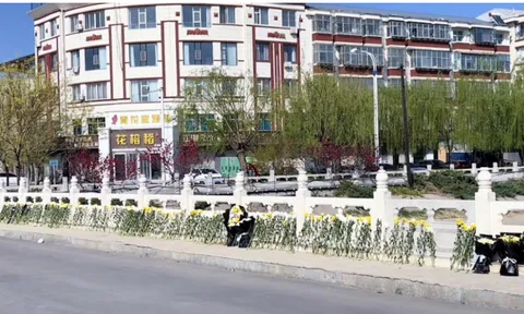 Thương tâm: 3 người đàn ông lao xuống kênh cứu một phụ nữ, 4 người tử vong