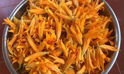 Không phải thuốc bổ đắt tiền, đây mới là “thần dược” giúp loại bỏ mọi "vong ưu", thấy hoa này nên mua ngay