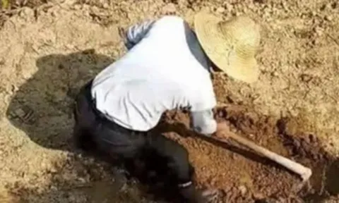 Đào được “báu vật hoàng gia” khi đang xây chuồng lợn: Tiếng rít bí ẩn giữa đêm khiến chuyên gia cũng bất ngờ