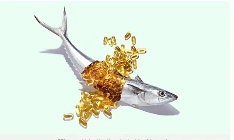 Kỳ lạ loại cá nhiều chất béo nhưng lại giúp giảm mỡ máu: Tiến sĩ Mỹ khen ngợi hết lời, Việt Nam có sẵn