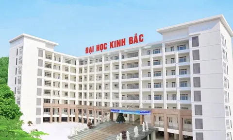 Phó Chủ tịch hội đồng trường Đại học Kinh Bắc bị bắt, nhiều tình tiết gây chú ý