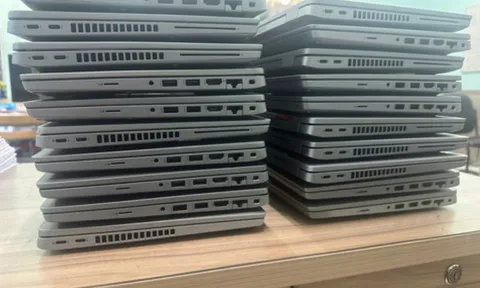 Bắt nữ giúp việc Công ty Sen Vàng