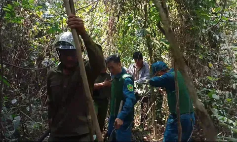 Bắt Võ Đình Ngọc sau 2 giờ vây ráp xuyên rừng