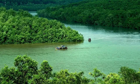 Loài bò sát nhỏ bé “tàng hình” suốt gần 100 năm bất ngờ lộ diện ở Việt Nam, có gì đặc biệt?
