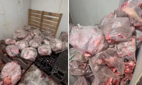 Phát hiện thịt heo biến đổi màu sắc tại cơ sở giết mổ không phép