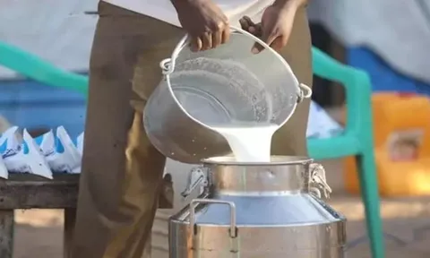 Đột kích cơ sở sản xuất sữa nghi giả lúc 1h sáng, bắt giữ “nhà hóa học” tự xưng