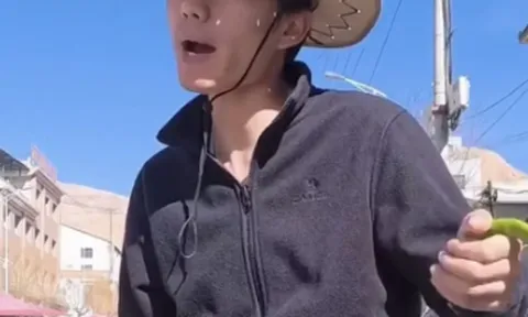 Sau thời hoàng kim, tổng tài thất nghiệp về quê làm nông