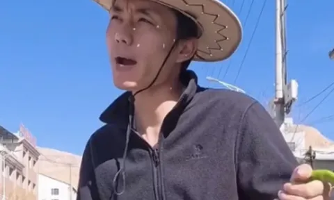 Sau thời hoàng kim, tổng tài thất nghiệp về quê làm nông