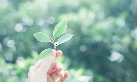Tuổi trung niên rực rỡ nếu làm những điều này