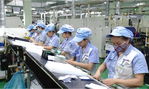 Quyền lợi của lao động nữ mang thai: Có được tạm hoãn hoặc đơn phương chấm dứt hợp đồng?
