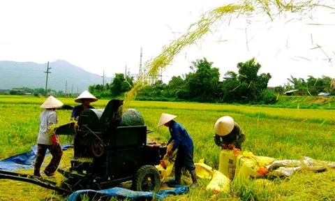 Cập nhật Bộ tiêu chí quốc gia về nông thôn mới giai đoạn 2026–2030