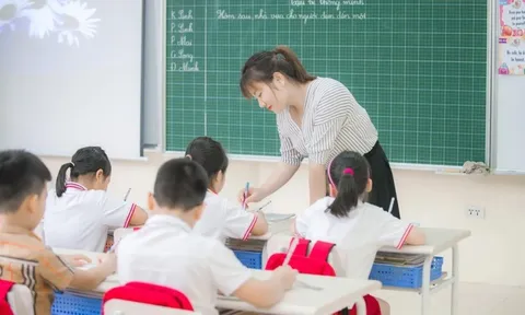 Giáo viên tiểu học hạng 2 phải đáp ứng tiêu chuẩn về năng lực chuyên môn, nghiệp vụ thế nào?