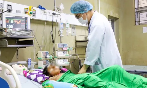 Cứu sống bé gái 10 tuổi bị ong vò vẽ đốt hơn 70 vết, nhập viện trong tình trạng nguy kịch