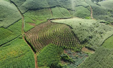 Những người sống trên đất 30-40 năm nhưng chưa có sổ đỏ vẫn có thể được cấp: Ai đủ điều kiện theo Luật Đất đai?