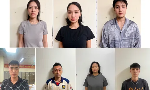 Miu Lê bị khởi tố vì ma túy, công ty quản lý nói gì?
