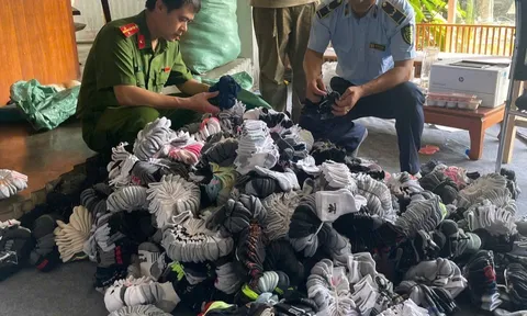 Bất ngờ kiểm tra hộ kinh doanh ở Hà Nội, lộ hơn 5.000 sản phẩm “nhái” thương hiệu Puma, Adidas, Nike