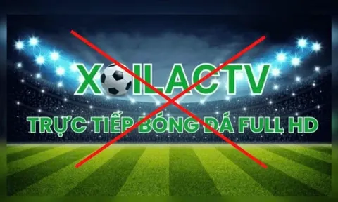 Đường dây Xôi Lạc TV bị triệt phá: Đại sứ quán Anh gửi thư cảm ơn Việt Nam