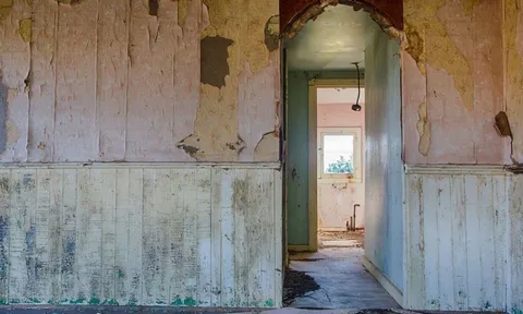 Nghe tiếng kêu bí ẩn trong tường suốt 2 ngày, người đàn ông phá nhà và phát hiện thứ gây sửng sốt