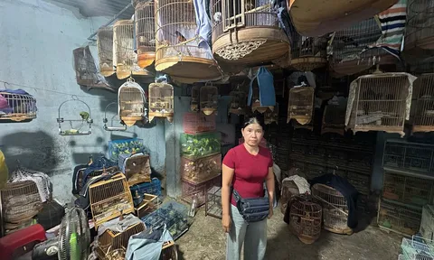 Bắt bà chủ Trương Thị Kim Hà  SN 1978 và Trạm trưởng Trạm Kiểm lâm Vũng Tàu Nguyễn Văn Lời