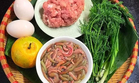 Sinh vật hiếm gặp, nhìn thì ám ảnh nhưng được xem như món đại bổ, giá chạm ngưỡng tiền triệu: Khi ăn nhất định phải có vỏ quýt, thì là, lá lốt