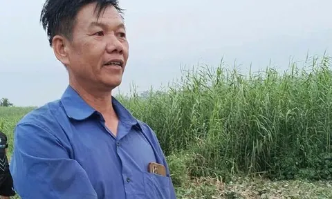 Xem livestream 5 học sinh đuối nước trên sông Lô, người đàn ông 53 tuổi tức tốc chạy 20km tới hiện trường, để làm điều không ai ngờ tới