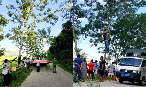 Giải cứu nghẹt thở ở Phú Thọ: Người đàn ông đứng trên cành cây 15m, diễn biến sau đó khiến nhiều người thót tim