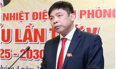 Vì sao Tổng Giám đốc  Công ty CP Nhiệt điện Hải Phòng Dương Sơn Bá bị bắt?