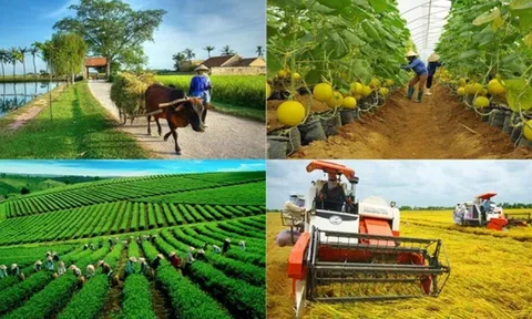 Bức tranh kinh tế - xã hội Quảng Ngãi 9 tháng đầu năm 2024 có nhiều điểm sáng