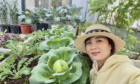 Cặp vợ chồng ở Đà Nẵng biến sân thượng 60 m² thành “nông trại mini”, rau trái xanh mướt quanh năm