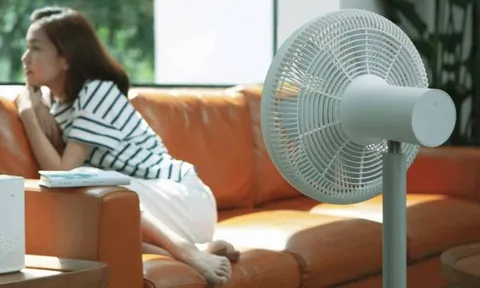 5 mẹo chống nóng đơn giản nhưng cực hiệu quả, giúp nhà mát lên rõ rệt trong ngày nắng đỉnh điểm