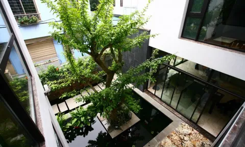 5 dấu hiệu chứng tỏ nhà bạn nằm trên “kho báu”, ở càng lâu càng thịnh vượng