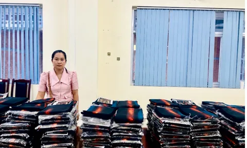 Khởi tố chủ thương hiệu vải áo dài Đất Lành