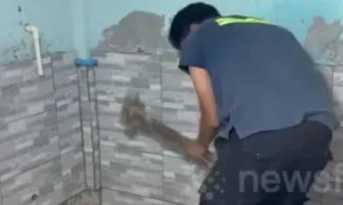 Tiếng động lạ dưới sàn nhà ký túc xá nữ, kiểm tra phát hiện "thứ đáng sợ" dài 5 mét