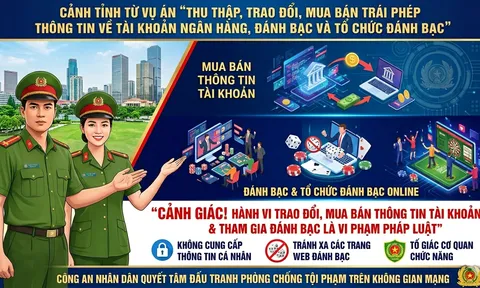 Dính bẫy "việc nhẹ lương cao", 2 thanh niên tại Hải Phòng tự đưa mình vào vòng lao lý
