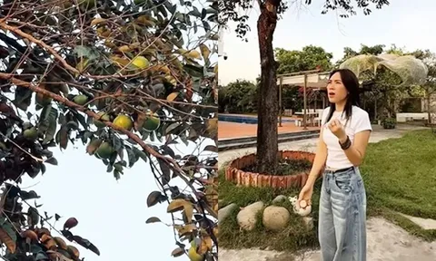 Ít ai biết Mỹ Tâm sở hữu không gian sống đáng mơ ước thế này