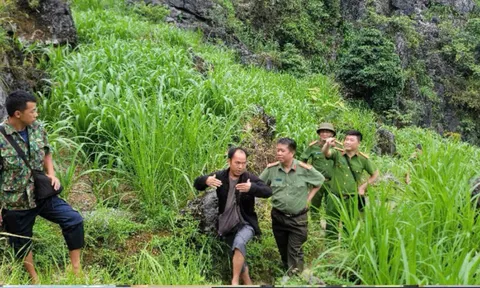 Rời bệnh viện lúc 2h sáng, người đàn ông được tìm thấy trong rừng sau hơn 1 ngày: Tình trạng sức khỏe ra sao?