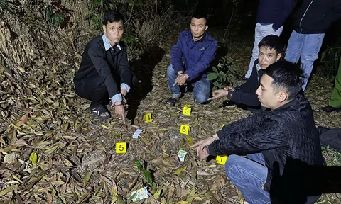 Lộ bí mật trên đồi vắng Hoành Bồ, 5 đối tượng bị bắt giam