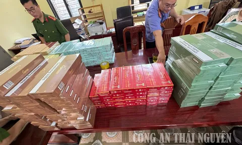 Phát hiện kho hàng cấm trong cửa tiệm tạp hóa, Phùng Thị Hạnh bị khởi tố