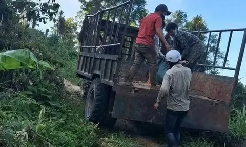 Nổ súng trong rừng sâu Gia Lai, 1 người tử vong: Flycam quét từng mét rừng Ia Rbol, truy lùng nghi phạm