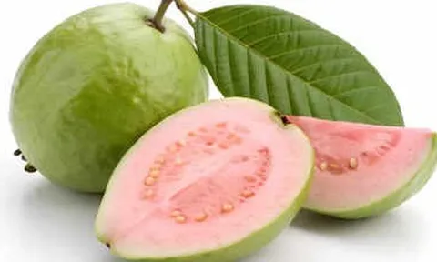 Không chỉ giàu vitamin C, ổi còn có 5 công dụng ít ai ngờ tới