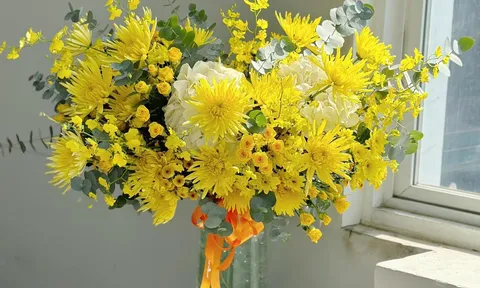 Hoa cúc vàng mang ý nghĩa gì mà được chuộng quanh năm? Không chỉ là may mắn, còn một điều ít ai biết