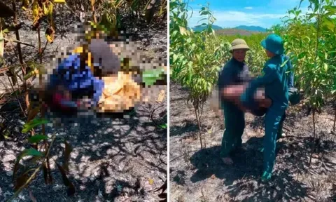 Đau lòng phát hiện 2 vợ chồng tử vong trong khu rừng bị cháy ở Hà Tĩnh: Hé lộ nguyên nhân ban đầu