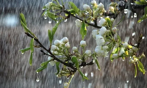Thời tiết ngày 25/6: Miền Bắc nắng nóng ban ngày, chiều tối mưa dông diện rộng