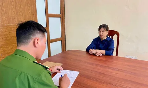 Khởi tố người phụ nữ dùng vòi xịt áp lực cao tấn công người bán rau